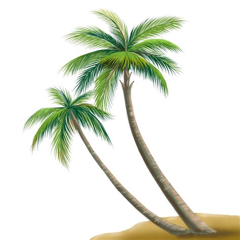 Palm Tree Palm Tree Png Palm Tree Digital Digital Download Palm