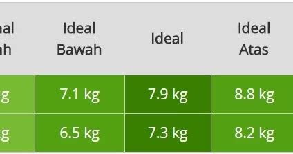 Walaupun begitu, standar who dijadikan sebagai karena belum tahu berat badan normal bayi, maka kebanyakan langsung bertanya kepada dokter. Berat Badan & Tinggi Bayi Usia Enam Bulan Laki-Laki ...