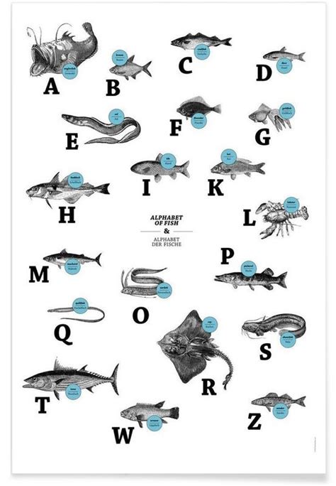 Alphabet Of Fish Animal Abc Poster Abc Poster Alphabet Abc