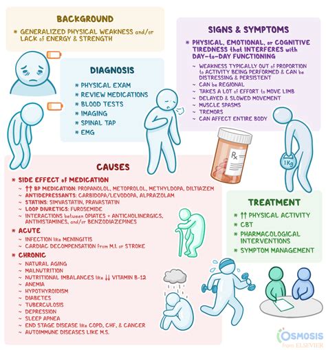 Asthenia What Is It Causes Symptoms Diagnosis And More Osmosis