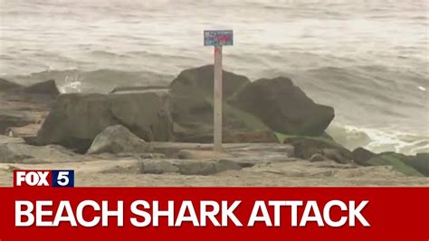Rockaway Beach Shark Attack Youtube