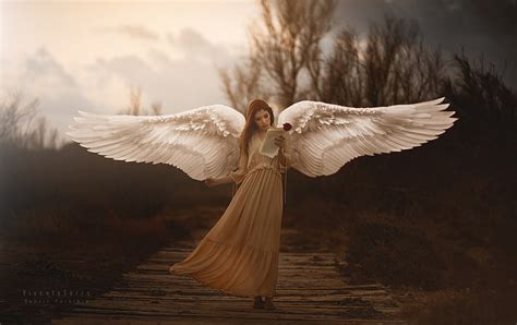 Hd Wallpaper Girl With Wings Angel One Person Spread Wings Flying