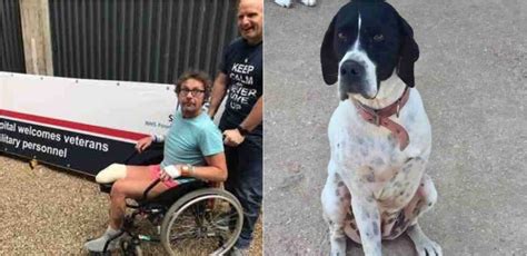 Homem Que Teve Uma Perna Amputada Adota Cachorro Que Era Rejeitado Em Abrigo Por Ter Três Patas