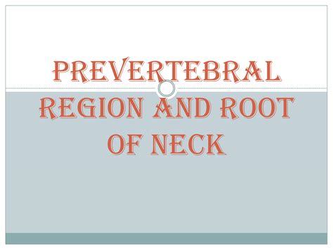 Solution Prevertebral Region And Root Of Neck E Studypool