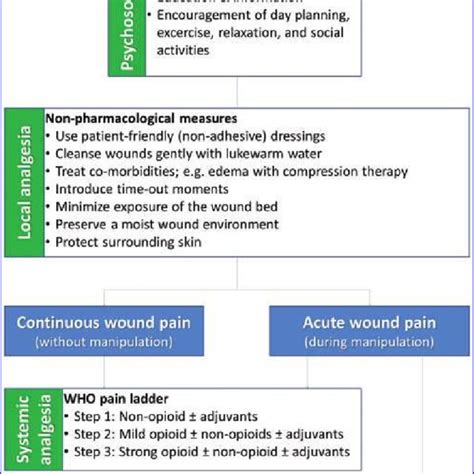 Pdf Evidence Based Care Of Acute Wounds A Perspective