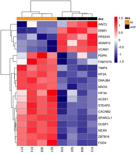 Cluster Heat Map Of Gene Expression Data The Hierarch Vrogue Co
