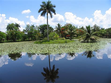 Parque Ciénaga De Zapata En Cuba