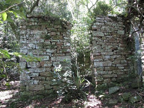 Ruins In Argentina Jungle May Be Secret Nazi Hideout