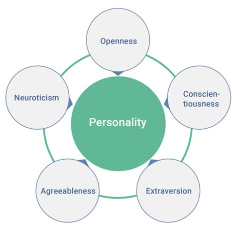 The big five—extraversion, agreeableness, conscientiousness, neuroticism and openness to experience—are a set of five broad. the Big Five Personality Traits