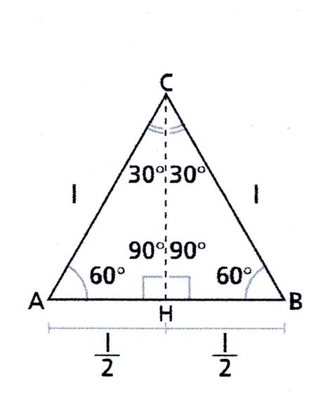 Quante Altezze Ha Un Triangolo - TRIANGOLI CON ANGOLI DI 30° 45° E 60° - lezioniignoranti