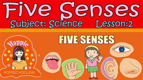 Five Senses Seeing Smelling Touching Hearing Tasting Science