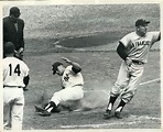 1962 World Series | 1962 world series, World series, San francisco giants