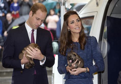 Kate Middleton and Prince William Cuddle Cute Puppies in New Zealand | Time