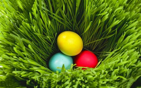 Easter 2014 Backgrounds - Wallpaper, High Definition, High Quality