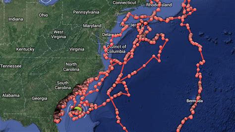 The atlantic white shark conservancy sharktivity map and app were developed in collaboration with the massachusetts division of marine. You can now track sharks off the East Coast in real time ...