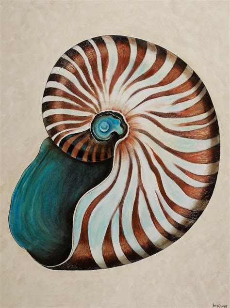 Paintings By Tracy Effinger Upton Nautilus Shells Sea Shells Sea