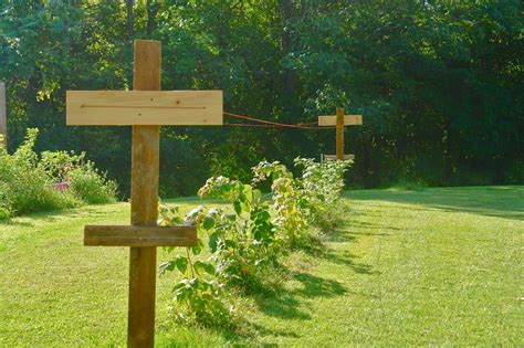 This trellis system should keep the berry plants in check, and allow for easier harvesting. REDWOODSHIRE- learning to grow; growing to learn ...