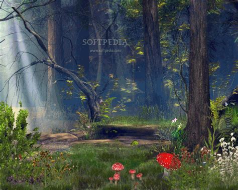 69 Enchanted Forest Backgrounds