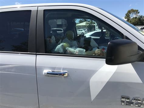 Adoptable dogs in your local shelter. Spotted this beauty outside the pet adoption center ...