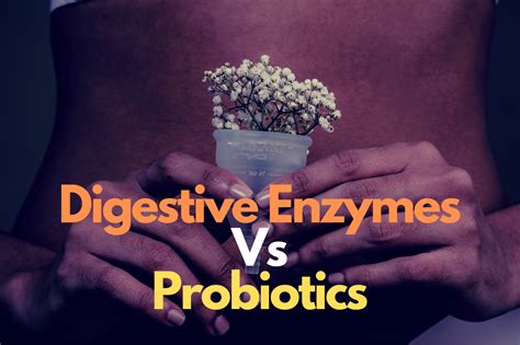 Digestive Enzymes Vs Probiotics Key Differences Explained Littlemedi