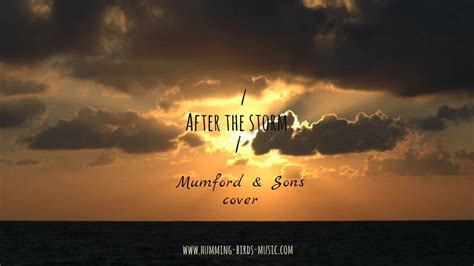 Humming Birds After The Storm Mumford And Sons Cover Youtube