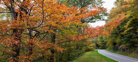 Visit Shenandoah Valley 10 Perfect Places To See Fall Foliage In The