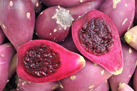 Most saguaro fruits ripen in june when the temperatures are favorable. Betty's Prickly Pear Syrup (and Sometimes Jelly) Recipe ...