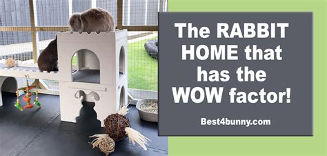The Rabbit Home That Has The Wow Factor Best 4 Bunny