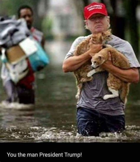 Trump Supporters Share Fake Photo Of Trump Saving Cats In Hurricane