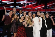 The Voice Results 2015 Top 11: Who Saved & Eliminated Recap | Heavy.com