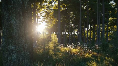 Into The Nature Youtube