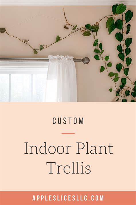 How To Create A Diy Indoor Plant Trellis Care For Your Indoor