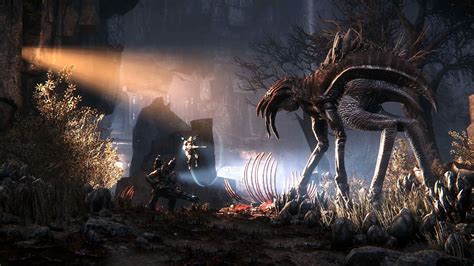 11 Hd Evolve Wallpapers