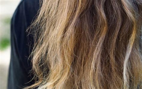 Kuru Ve Yıpranmış Saçı Onarmanın 10 Etkili Yolu Groomed