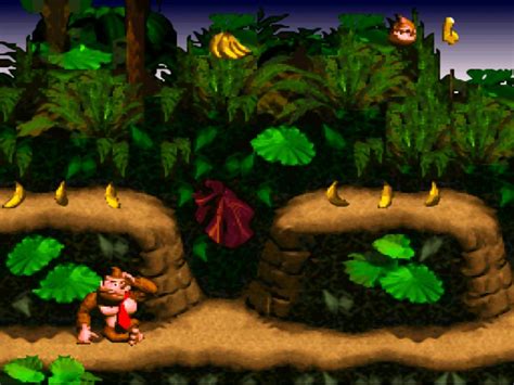 Pics Photos Donkey Kong Country 2 Rom For Snes