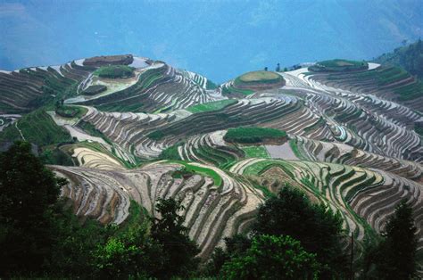 Picture Of The Day The Longsheng Rice Terraces Of China Twistedsifter