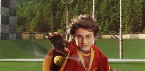 A Deep Dive Into Harry Potters Quidditch Career By Joseph Swit Medium