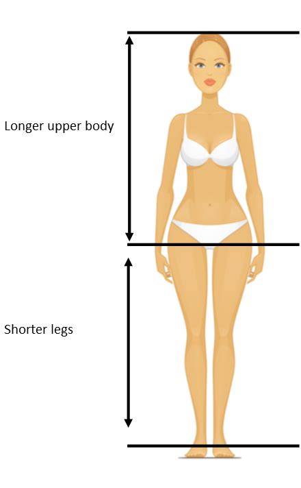 Body Proportions Explained Long Body Shorter Legs Inside Out Style
