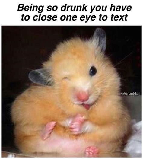 Opelhar Blog Archive Memes Funny Hamster These Hamsters Ebook