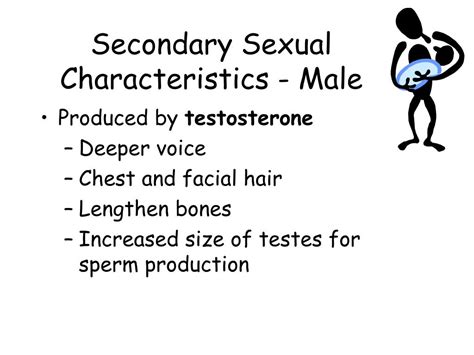 Ppt Human Reproductive System Review Powerpoint Presentation Free