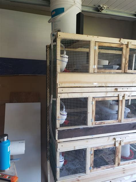 Diy Quail Cage Easy Quail Hutch You Can Build In One Weekend Backyard