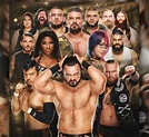 142 best WWE NXT Roster images on Pinterest