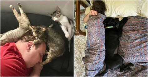 15 Sweet Photos Of Humans Sleeping Soundly With Their Pets