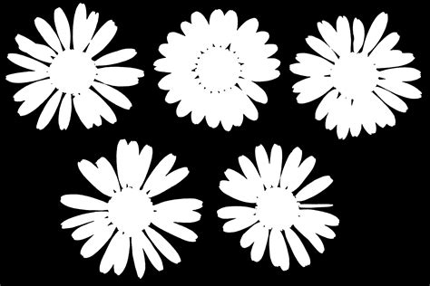Marguerite Flower 01 Free Pbr Texture From