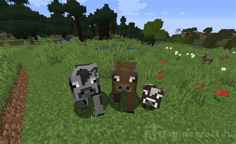Скачать текстурпак More Animal Variants для Майнкрафт 1.16.4 бесплатно