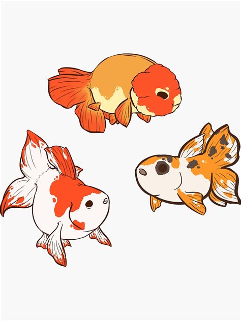 Fancy Goldfish Sticker Set 2 Sticker By Rawrimamidget Redbubble