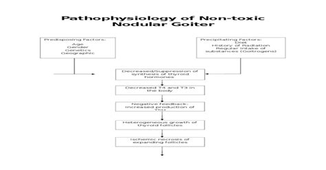 Pathophysiology Of Nontoxic Nodular Goiter Pdf Document