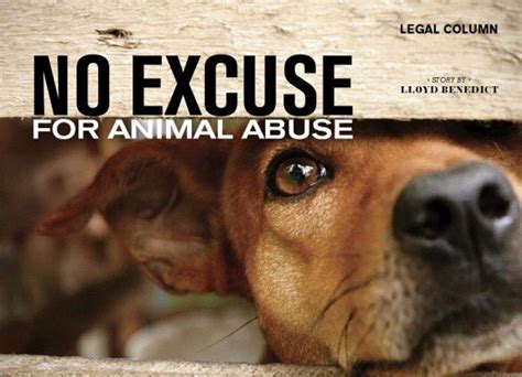 Animal Cruelty Is An Injustice That Is Finally Being Taken More Seriously