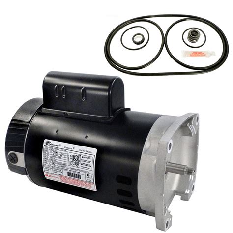 Puri Tech Replacement Motor Kit For Pentair Challenger 1hp C