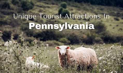 Unique Tourist Attractions In Pennsylvania Buddy The Traveling Monkey